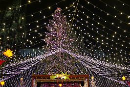Bernhard Saalfeld - Weihnachtsmarkt am Klner Dom